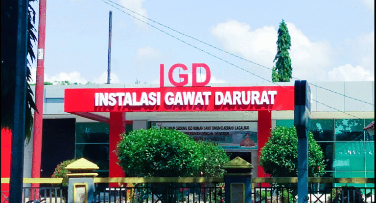 RSUD I lagaligo Wotu kab. Luwu timur