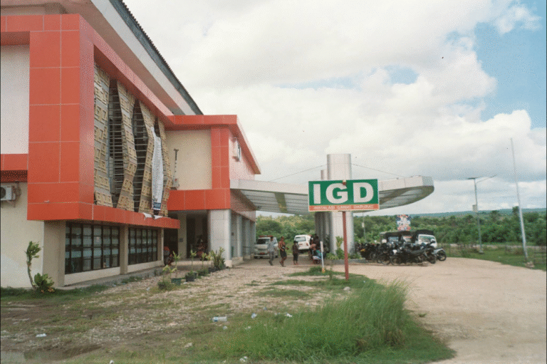 RSUD NAIBONAT
