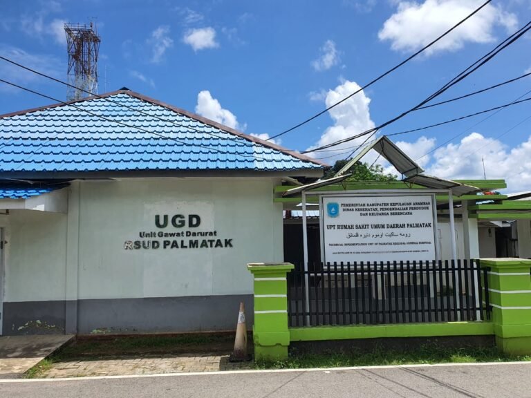 RSUD Palmatak