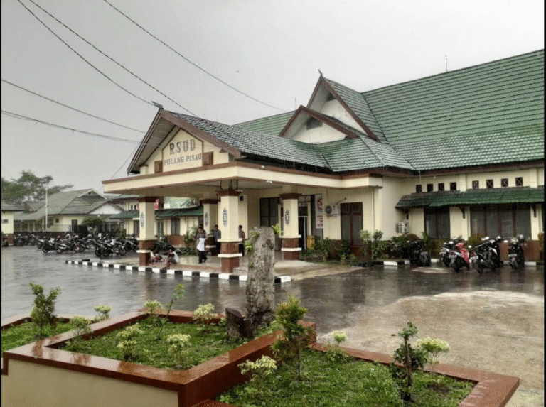 RSUD Pulang Pisau